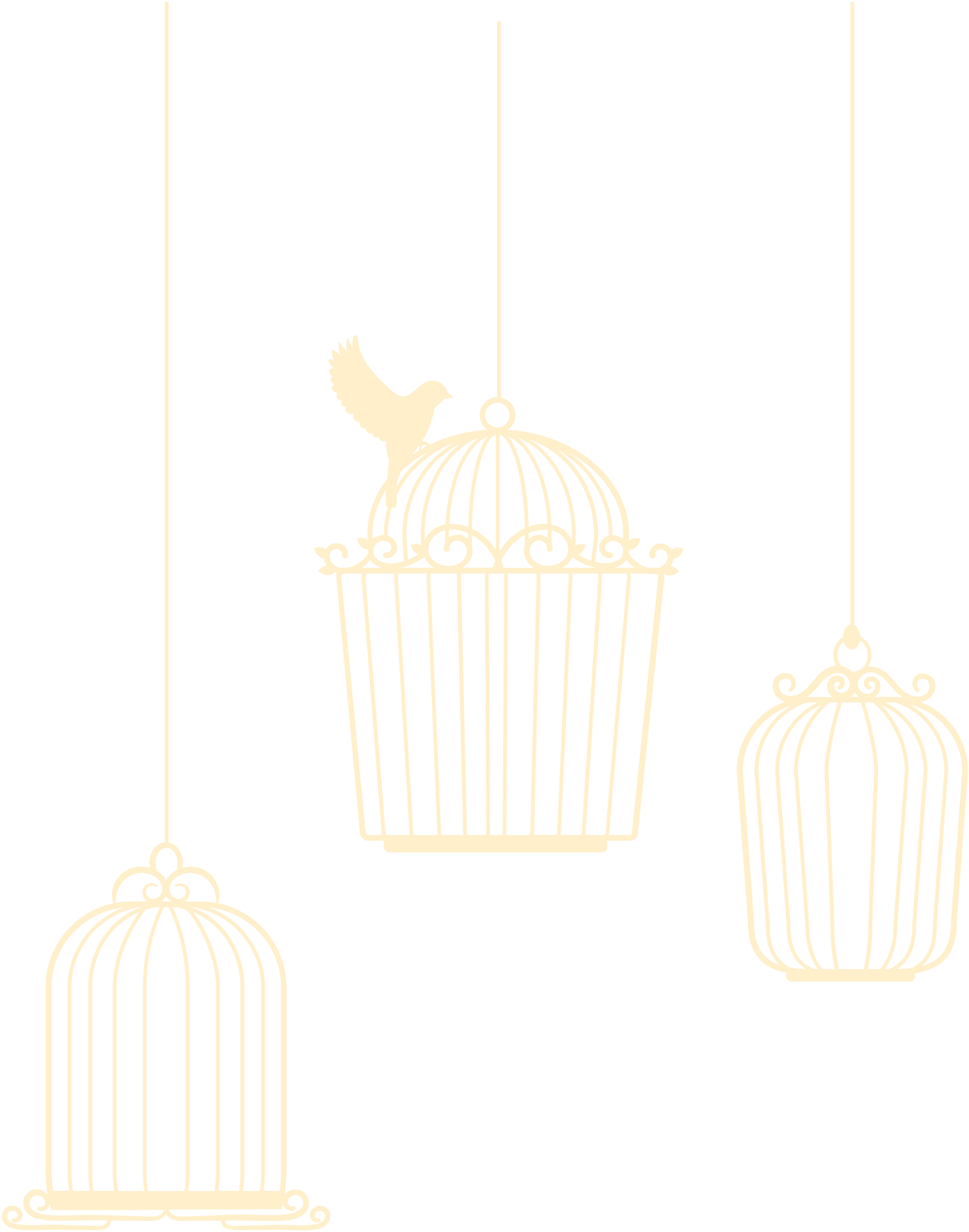 Free Bird Sitting on Cage